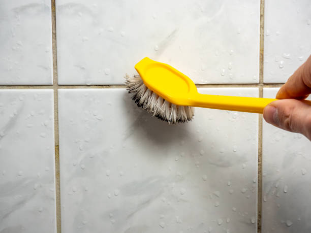 Trusted Oakwood, GA Mold Remediation Experts