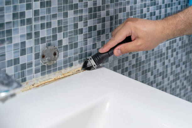 Best Post-Remediation Services in Oakwood, GA