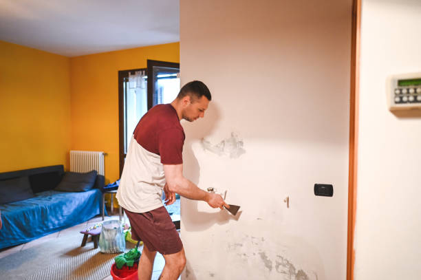 Best Emergency Mold Remediation in Oakwood, GA
